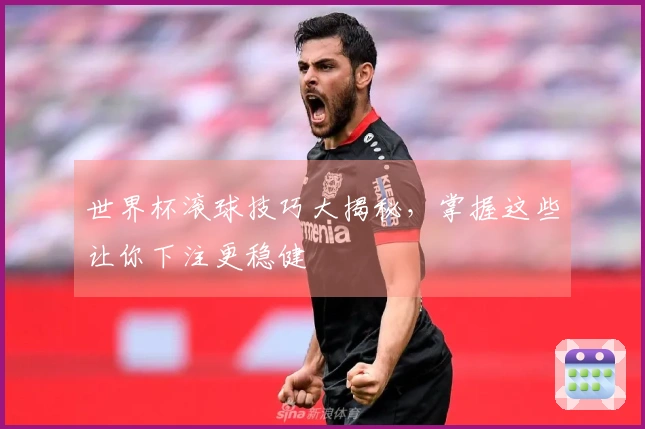 世界杯滚球技巧大揭秘，掌握这些让你下注更稳健
