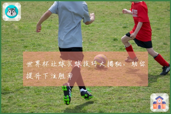 世界杯让球买球技巧大揭秘，助你提升下注胜率
