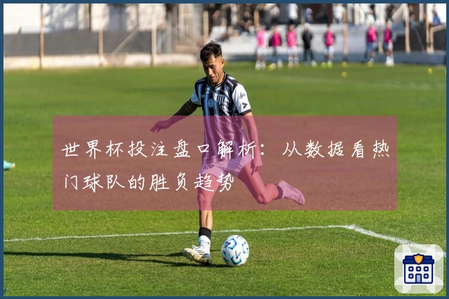 世界杯投注盘口解析：从数据看热门球队的胜负趋势