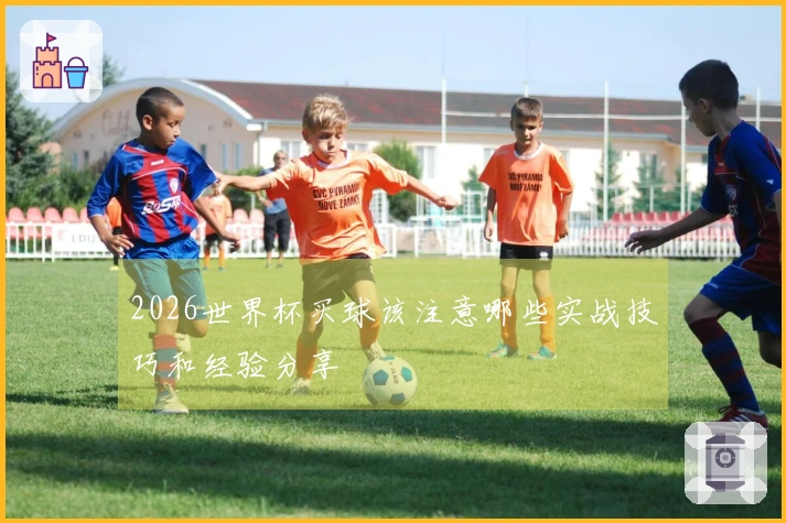 2026世界杯买球该注意哪些实战技巧和经验分享