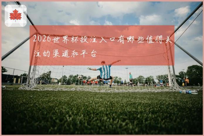 2026世界杯投注入口有哪些值得关注的渠道和平台