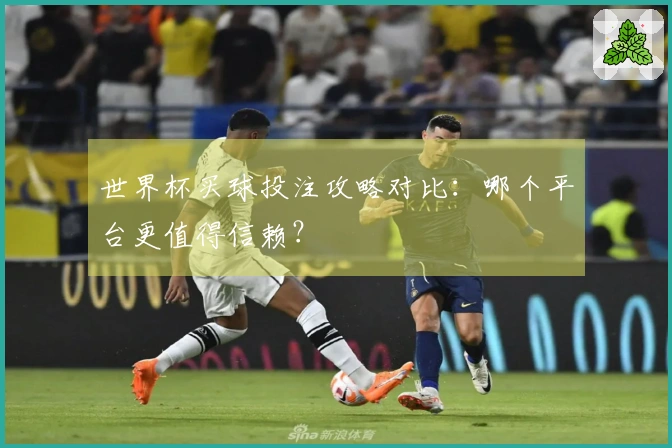 世界杯买球投注攻略对比：哪个平台更值得信赖？