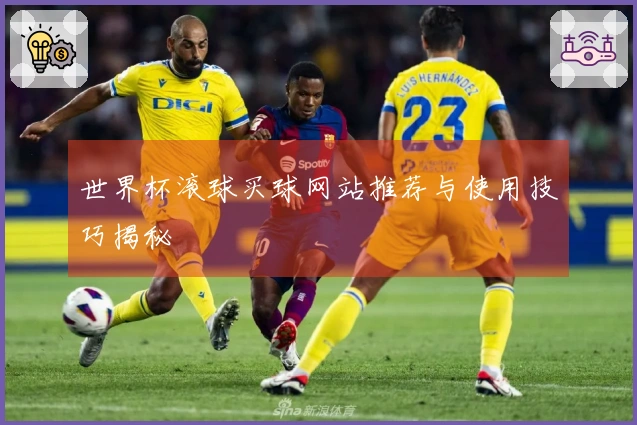 世界杯滚球买球网站推荐与使用技巧揭秘