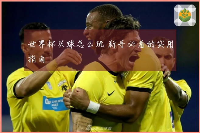 世界杯买球怎么玩 新手必看的实用指南