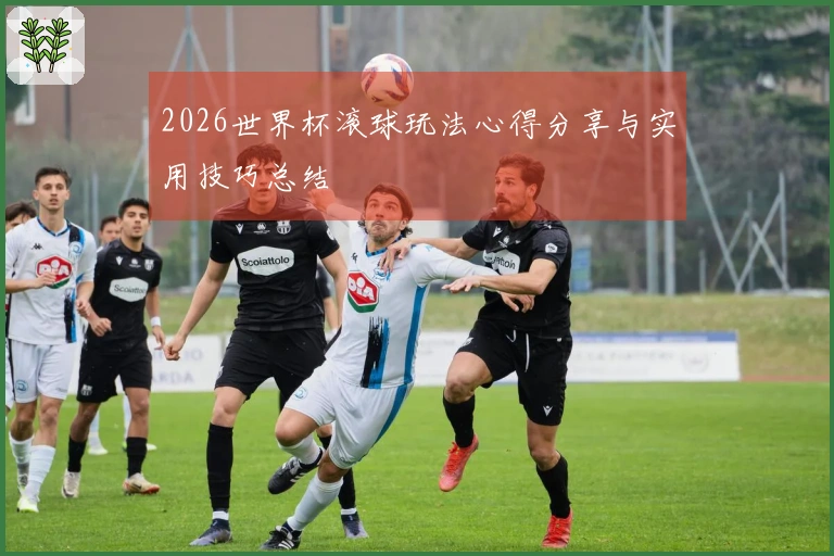 2026世界杯滚球玩法心得分享与实用技巧总结