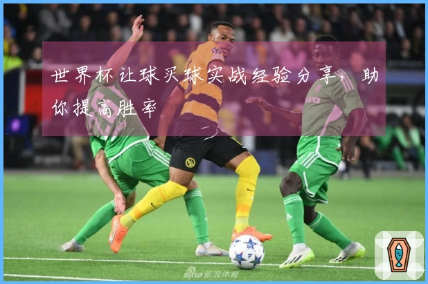 世界杯让球买球实战经验分享，助你提高胜率