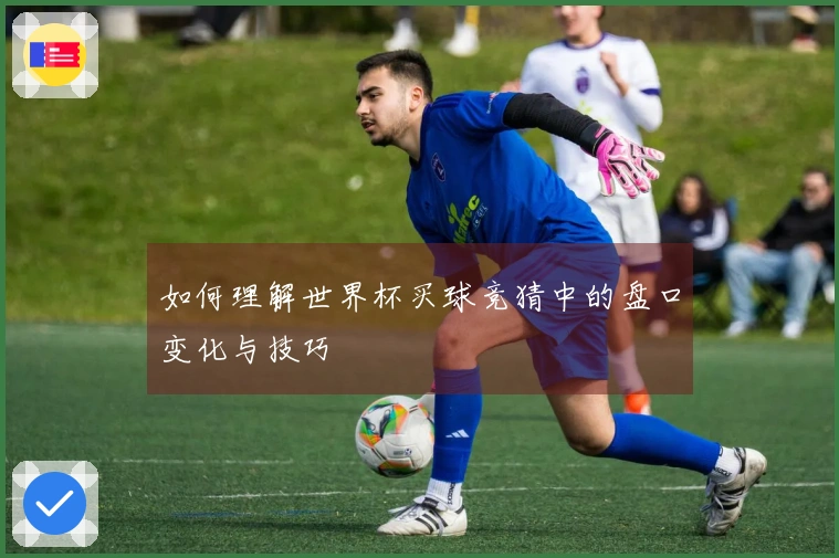 如何理解世界杯买球竞猜中的盘口变化与技巧