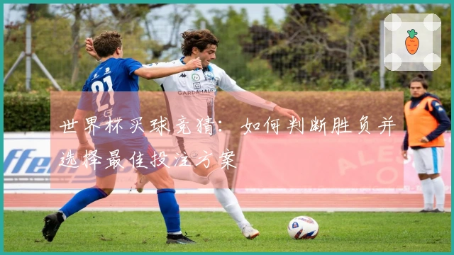 世界杯买球竞猜:如何判断胜负并选择最佳投注方案
