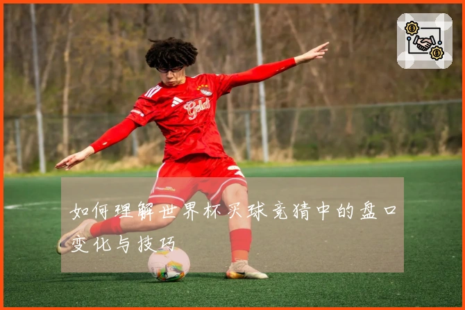 如何理解世界杯买球竞猜中的盘口变化与技巧