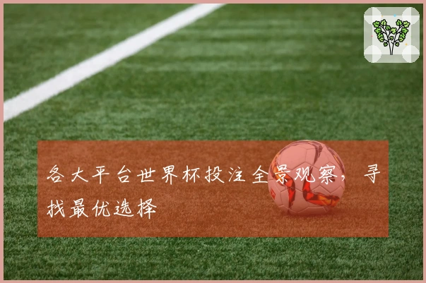 各大平台世界杯投注全景观察，寻找最优选择