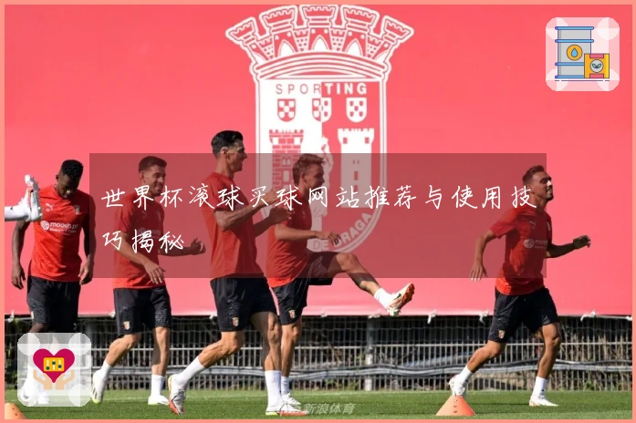 世界杯滚球买球网站推荐与使用技巧揭秘