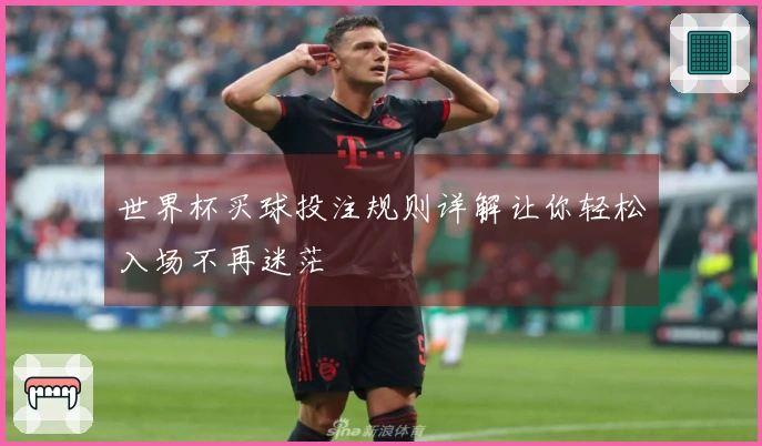 世界杯买球投注规则详解让你轻松入场不再迷茫