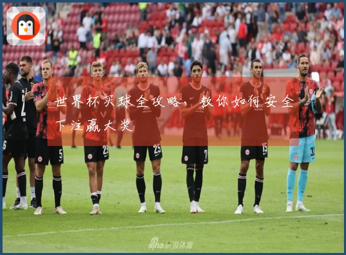 世界杯买球全攻略，教你如何安全下注赢大奖