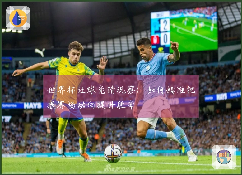 世界杯让球竞猜观察：如何精准把握赛场动向提升胜率