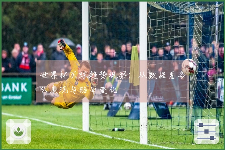 世界杯买球趋势观察：从数据看各队表现与赔率变化