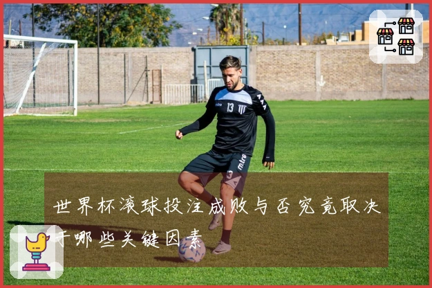 世界杯滚球投注成败与否究竟取决于哪些关键因素