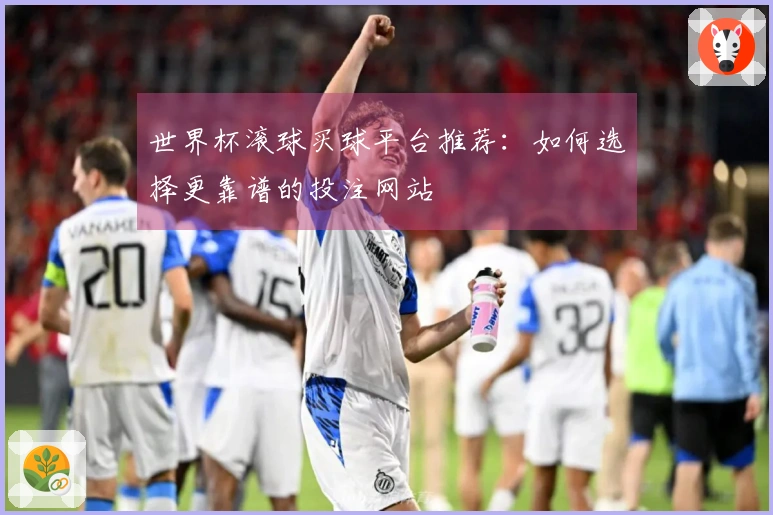 世界杯滚球买球平台推荐：如何选择更靠谱的投注网站