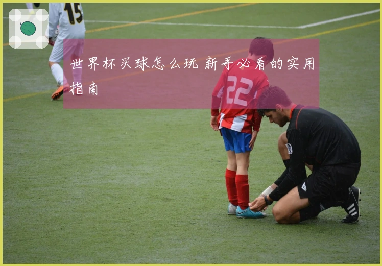 世界杯买球怎么玩 新手必看的实用指南